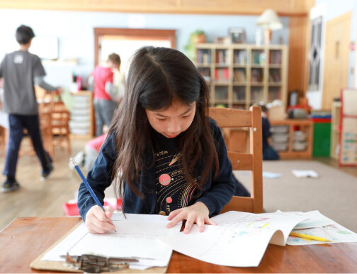 Young student working at desk